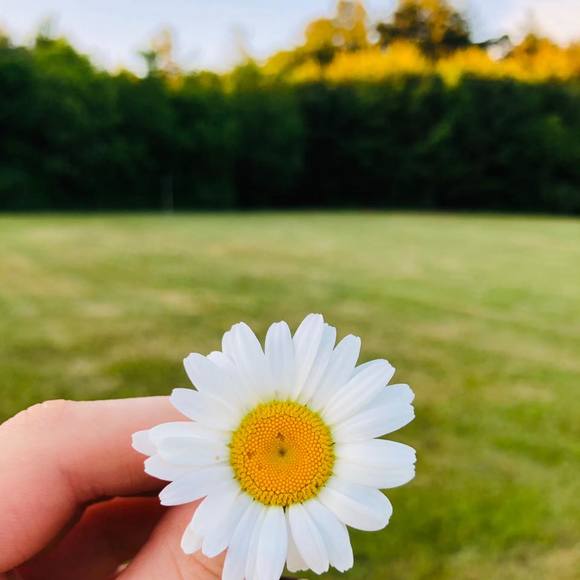 Meet your Posher, Jenna - Picture 1 of 1